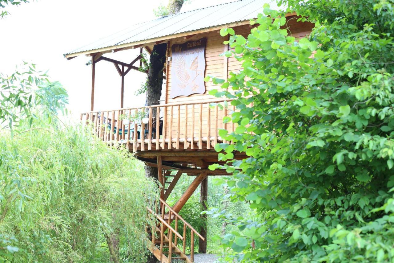 Cuibul Vulturilor - Casuta In Copac Villa Moisei Exterior photo